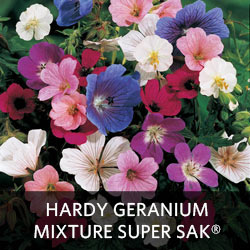 Hardy Geranium Mixture Super Sak®