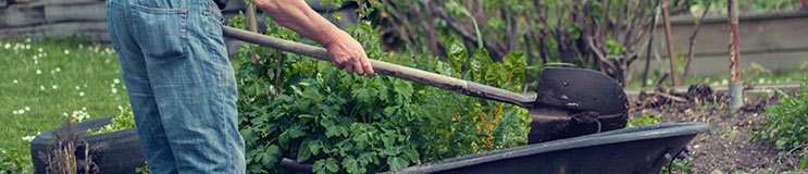 How to prepare your garden beds for spring