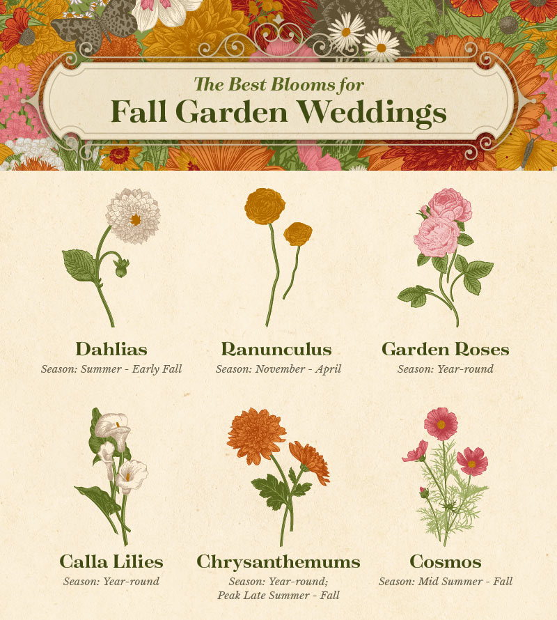 a graphic showing the best blooms for fall garden weddings