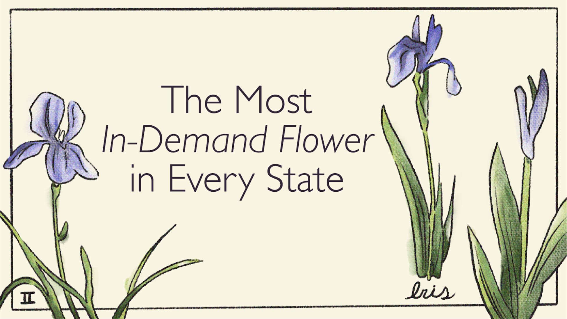 The Most Popular Flowers In America By State