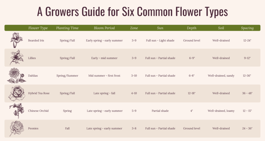 Easiest and hardest plants to grow blog 5